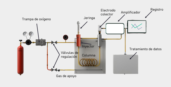 Gas Chromatograph (GC)