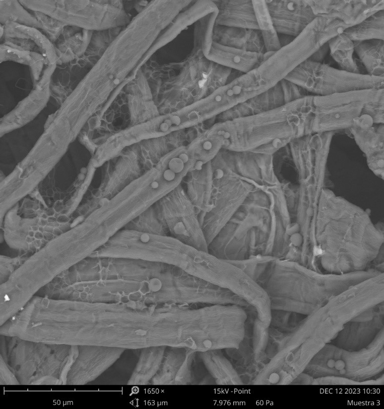 Characterization of Composite Materials to Optimize the Deposition of Microcapsules in the Final Product