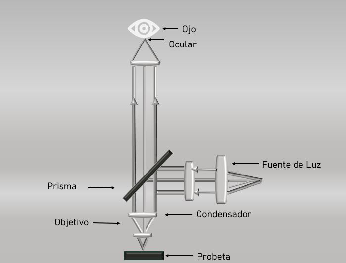 Metallographic Microscope