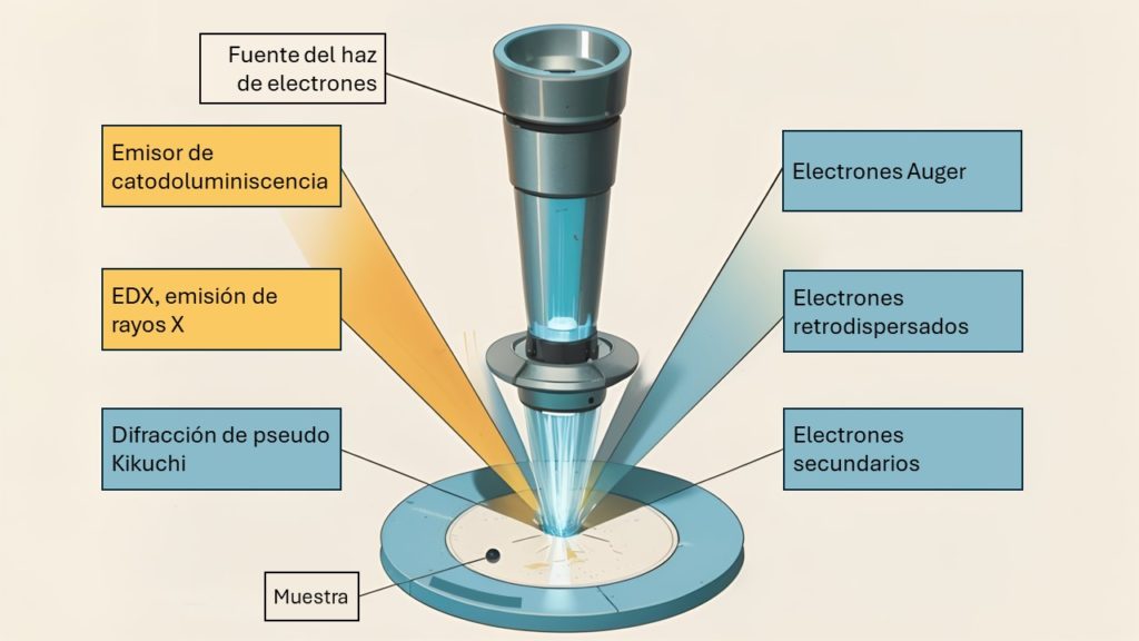 Microscopio Electrónico de Barrido (SEM)