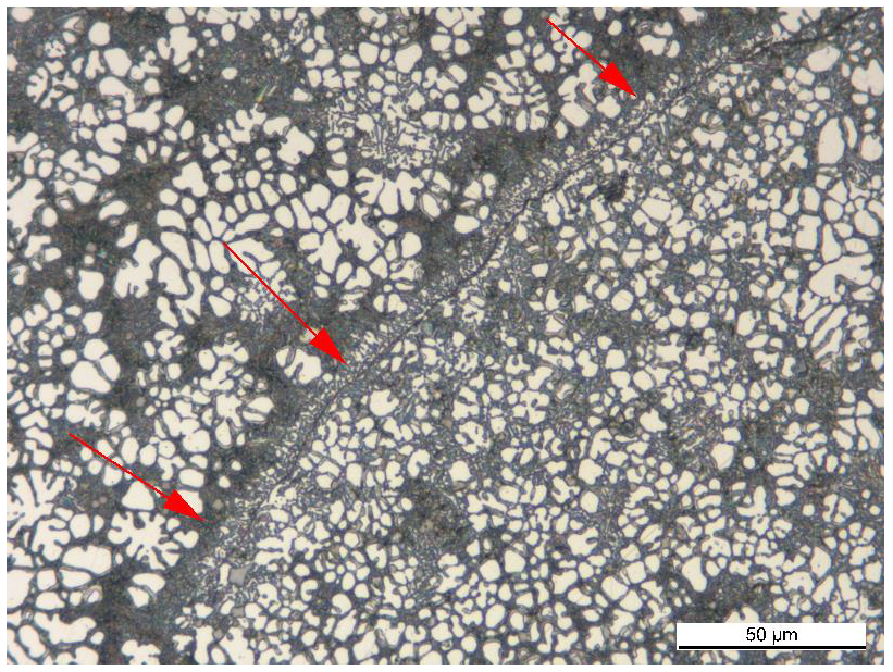 Metallographic Microscope