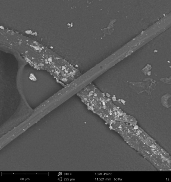 Reverse Engineering of Materials Causing Obstruction in a Waste Treatment Plant